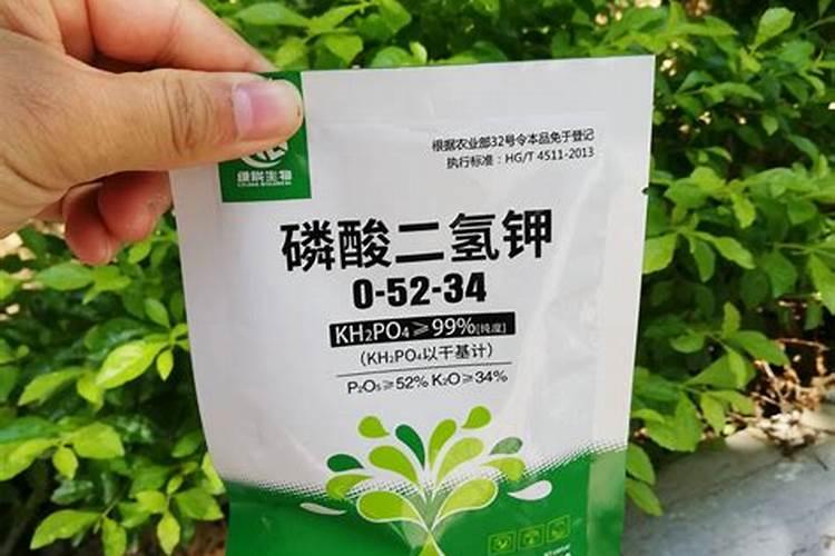 钙镁磷肥肥水效果怎么样