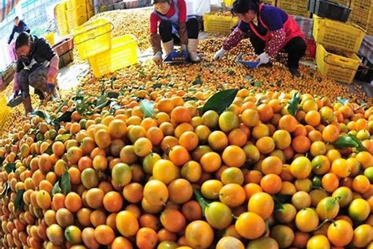 花生麸发酵时好多虫怎么办