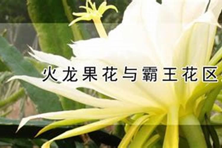 花生麸、豆饼发酵的时候很臭,分享两个方法,发酵肥料不臭