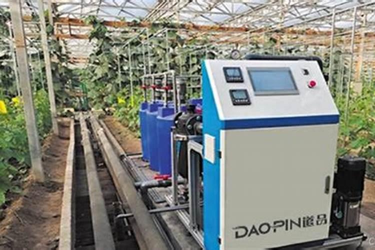 3月18日蚂蚁海洋答案:可以在泥土里存活具有抗旱能力的鱼是？