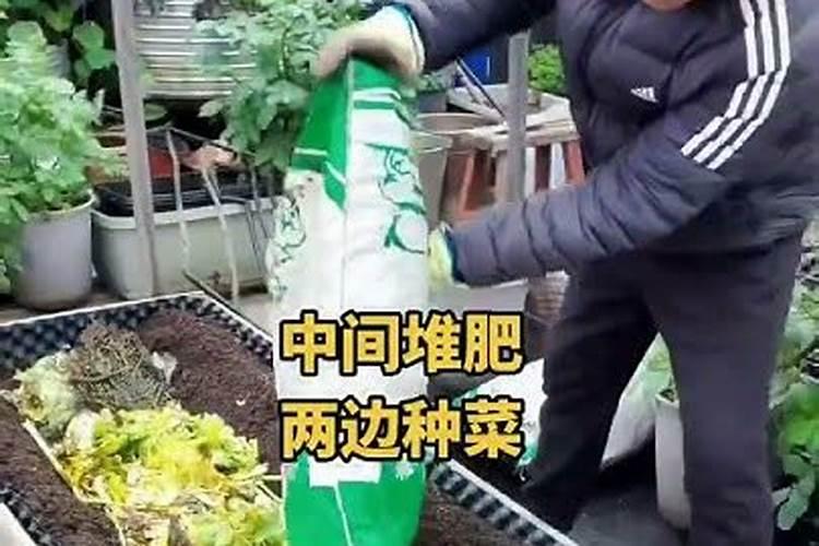 种植白菜该怎么施肥？要注意什么问题呢？