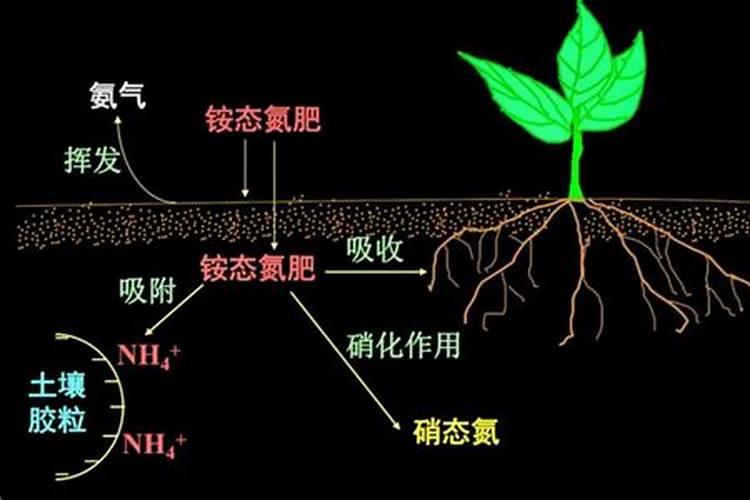 如何鉴别肥料质量