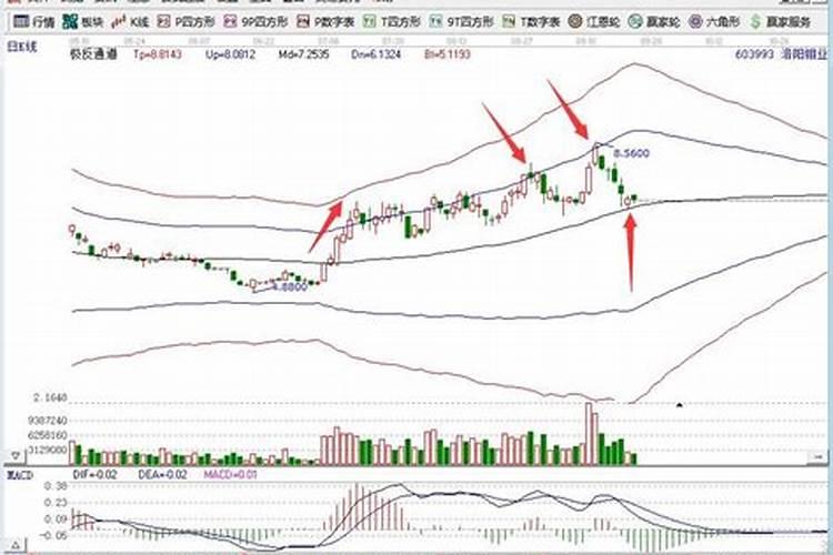 为何化肥板块下跌态势(附股)