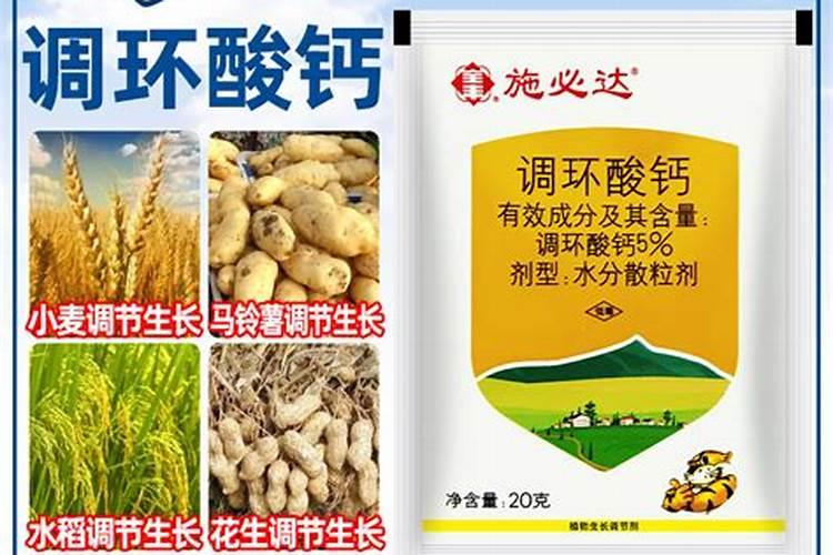 怎样提高叶面施肥的效果？