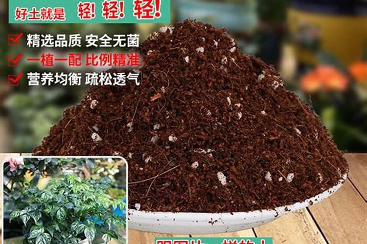 韭菜施什么肥长得又快又壮