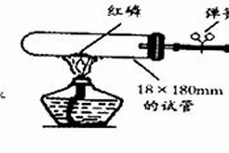 植物氮肥有哪些