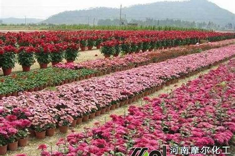 如何种地 需要用到哪些工具