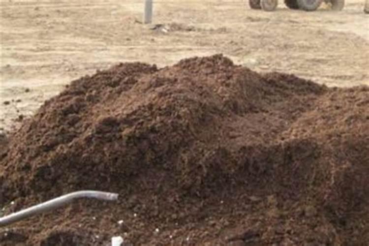 30斤鱼蛋白灌根最佳方法