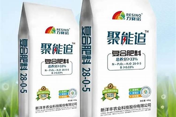 小香葱用什么肥料长得快小香葱的种植方法及注意事项