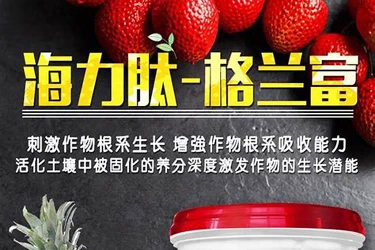 槟榔树的浇水方法(槟榔树的浇水方法和技巧)