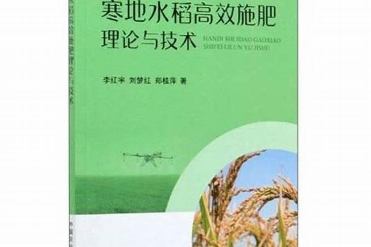 洋葱怎么施肥？洋葱种植方法及播种时间