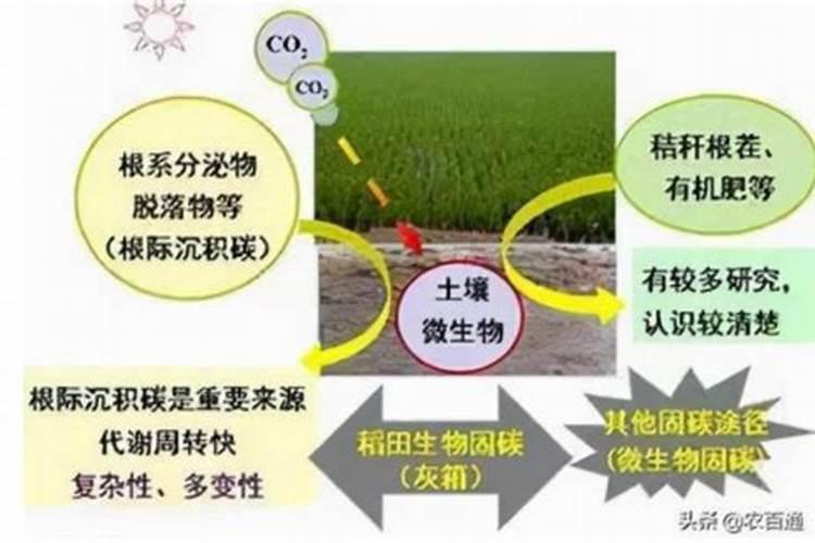 微量元素对农作物的作用