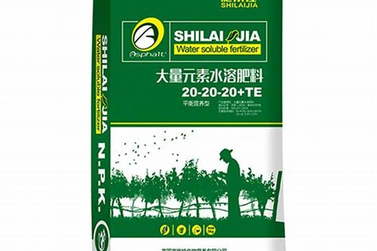 玉米旱到什么程度浇水