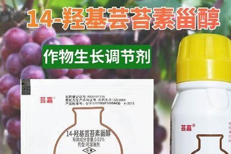 用什么肥料能让农作物快速生根？