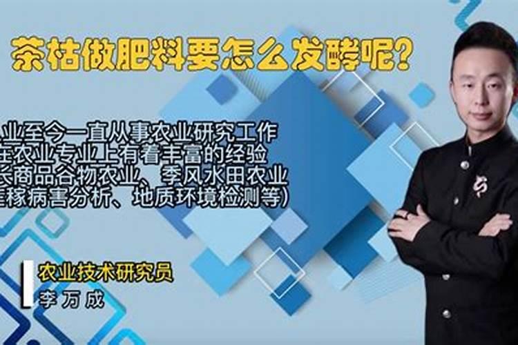 茶枯怎么发酵浇花
