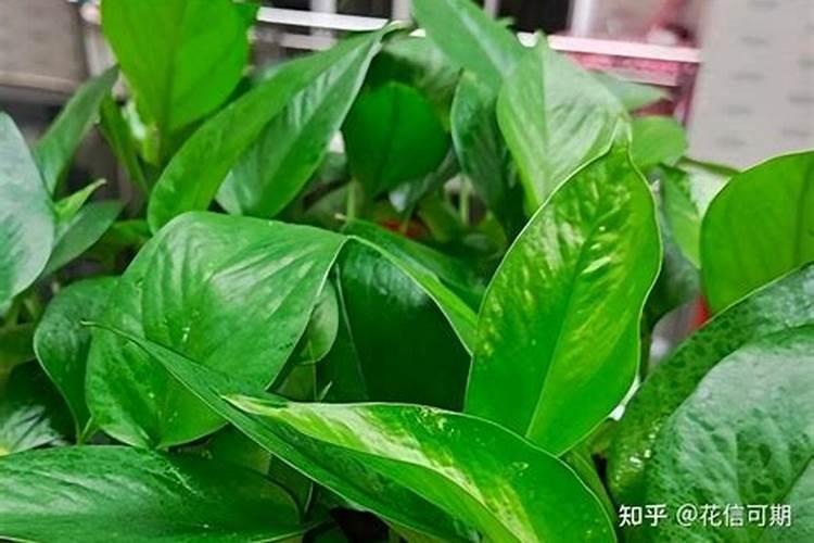 什么是标准煤,为什么把标准煤作为能源消耗的指标。