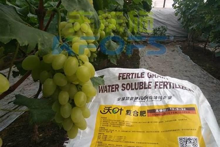 四种伤肾的水果