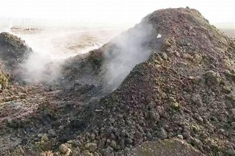 什么食物补钾？