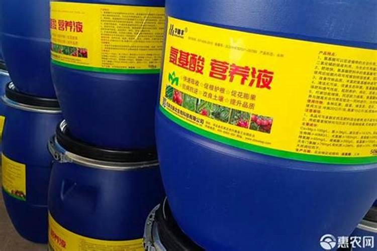 现在种大蒜都需要上什么肥料