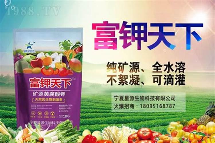 人体的八大平衡