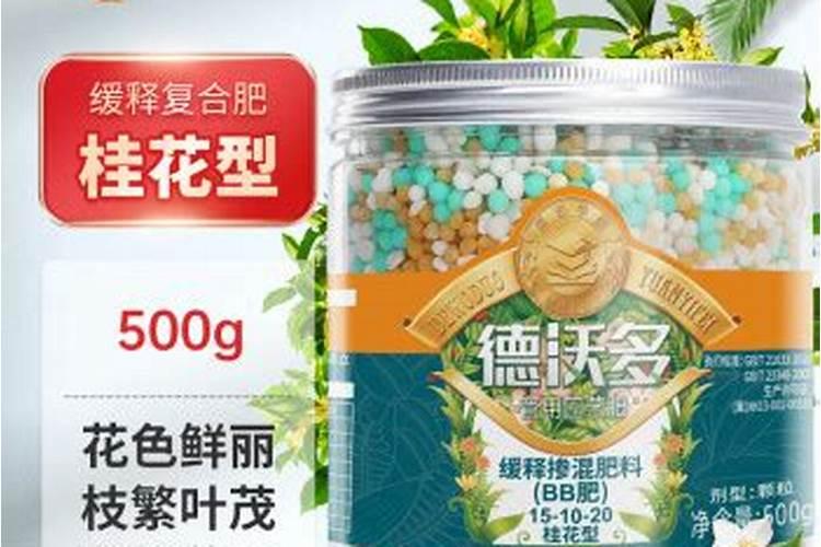 玉米专用肥料是什么呢？