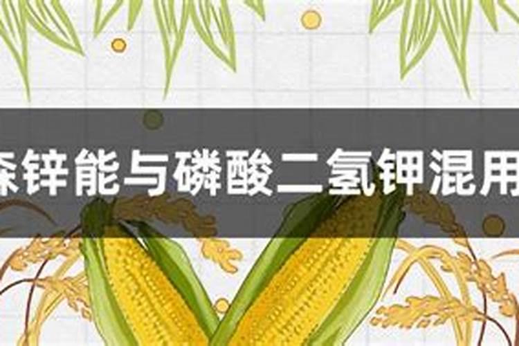 柚木家具有哪些品牌,柚木家具的优点有哪些？怎样鉴别柚木家具？哪个质量...