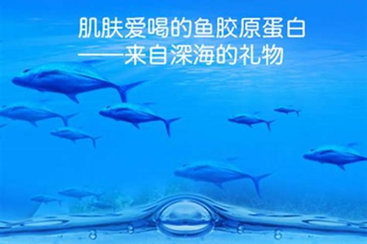 葡萄膨大期用什么肥料