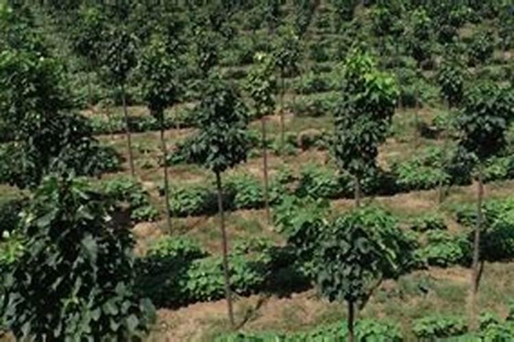 昆明工厂有哪些