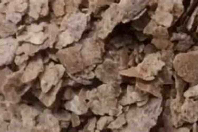 油菜籽饼可以和过磷酸钙一起腐熟吗？