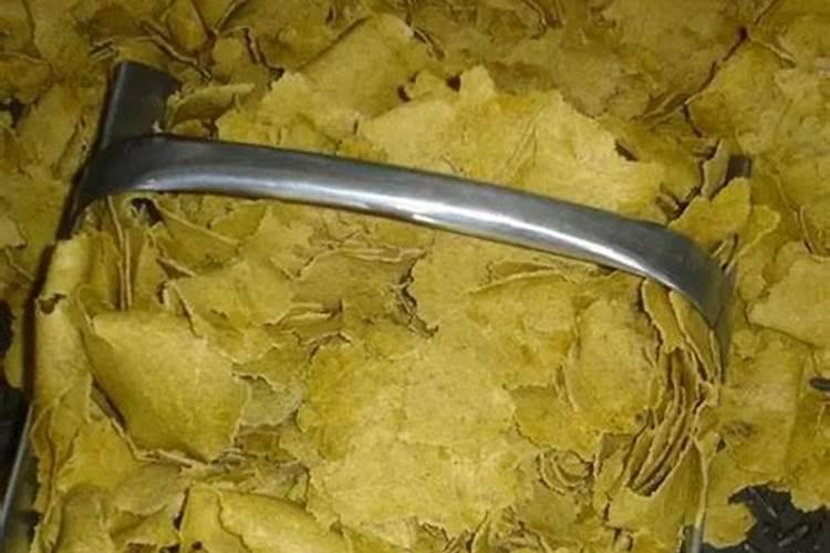 落地生根用什么肥料好呢