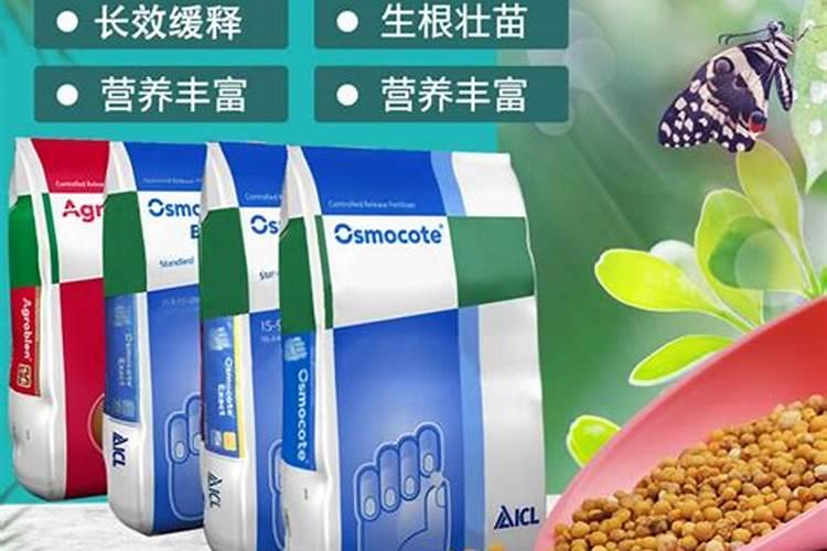 奥绿肥适合哪些植物？