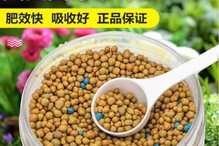 阳台上种了点草莓和番茄`用花多多`奥绿肥 做蔬菜肥料 吃了会对身体有...