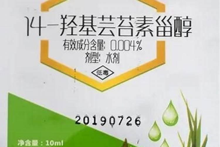 调节剂胺鲜酯和芸苔素哪个效果更好？农户应该如何选择？