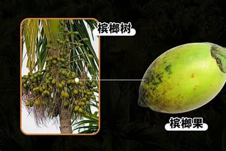 肥料增效剂的定义、分类及作用