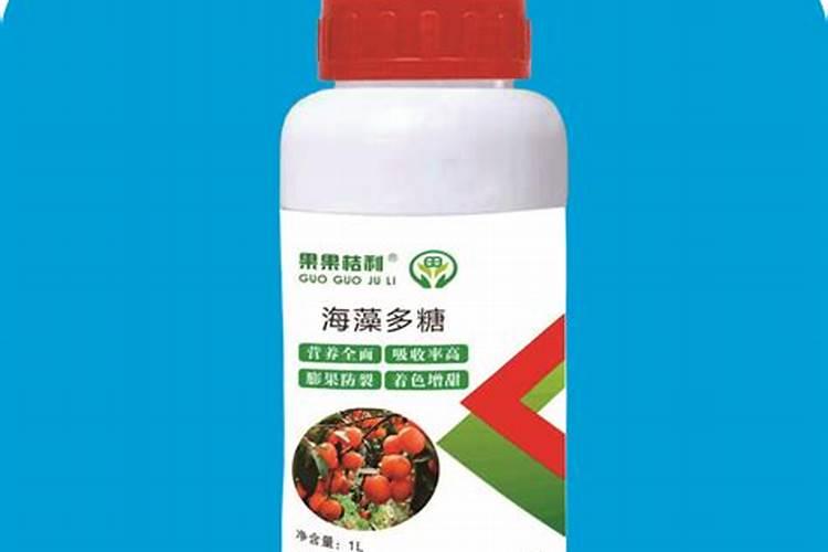 竹子施什么肥 竹子怎么施肥