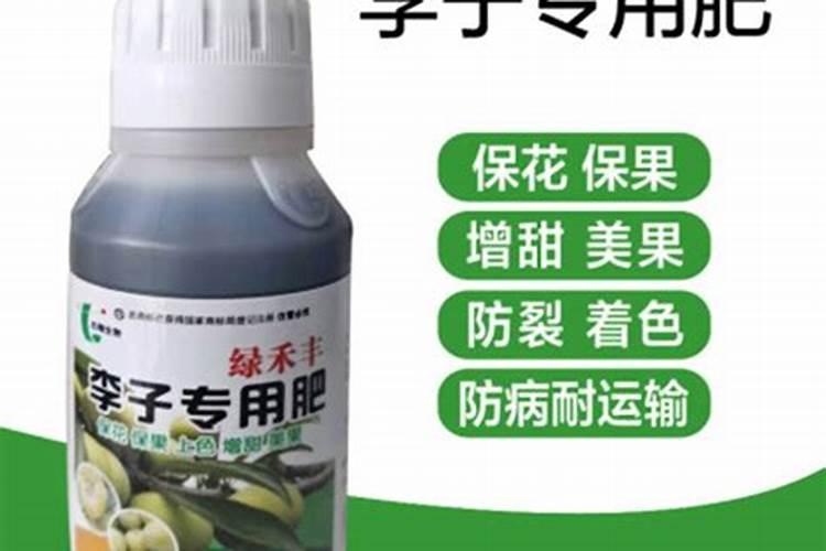 让李子更甜的方法