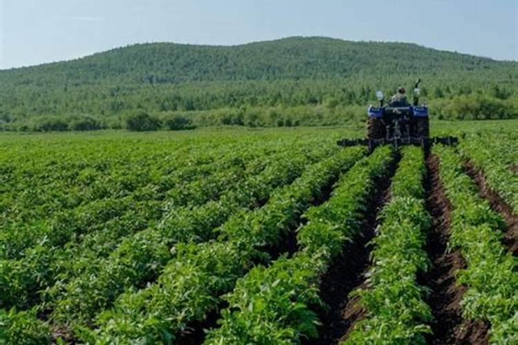 土壤杀菌消毒什么药剂最好