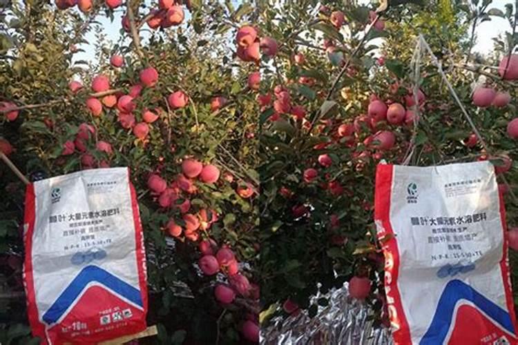 冬小麦施肥的最佳时间 施肥要遵循哪些原则