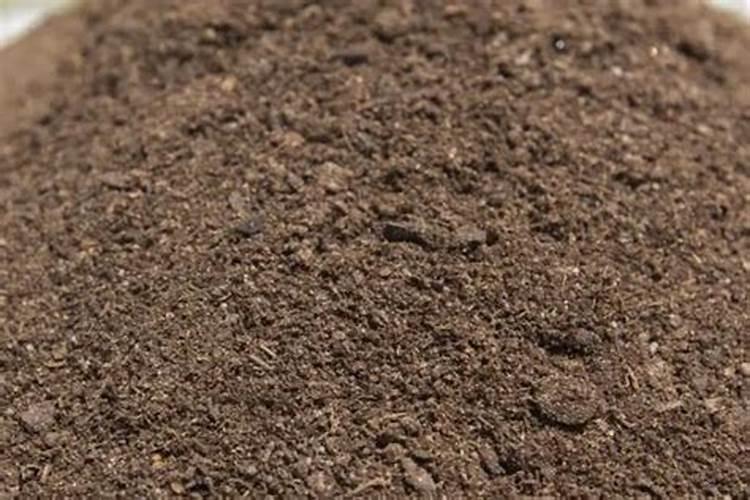 无子果实是怎么形成的？