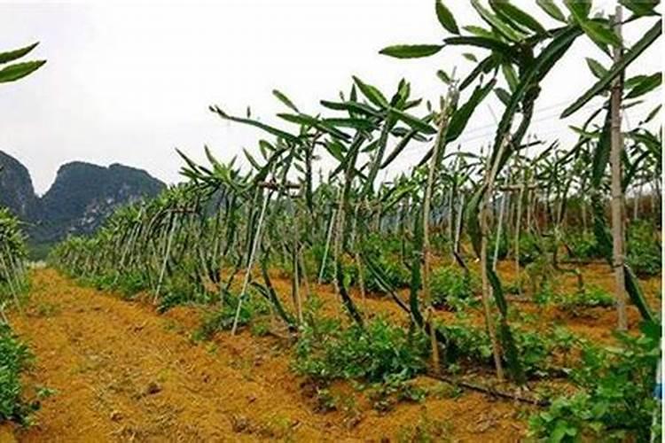 b站贝壳不够100能干什么