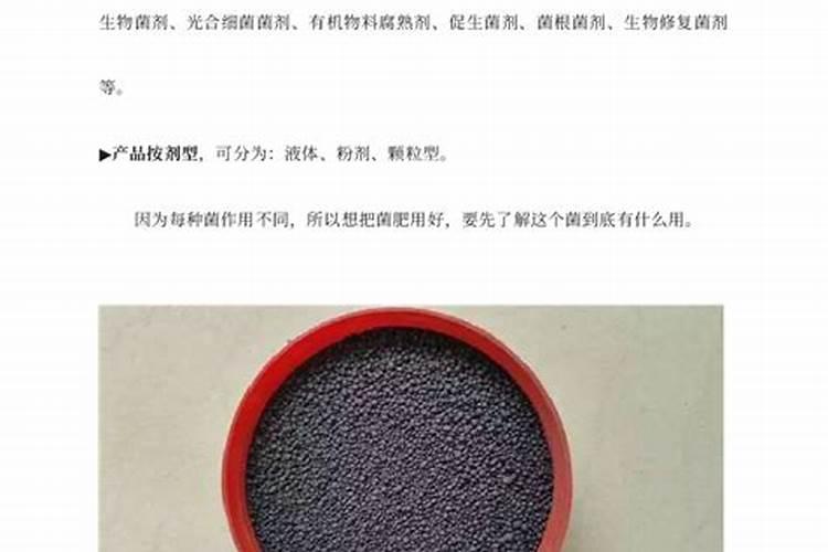 化肥放久了 有的会失效有的不会失效？那菌肥呢？意赛格生物给您讲解讲解...