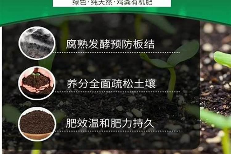 沃柑幼树怎样施肥