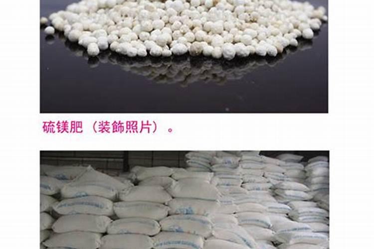 栀子花花苞期怎么施肥