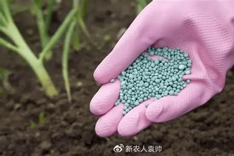 氮磷钾化肥的区分