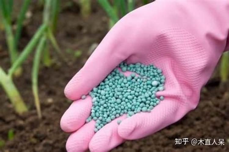 腐植酸对农作物有哪些作用