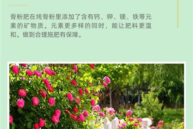 膨果期钾肥和钙肥可一起冲施吗