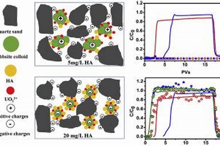 修剪树木和下雨有利害关系吗