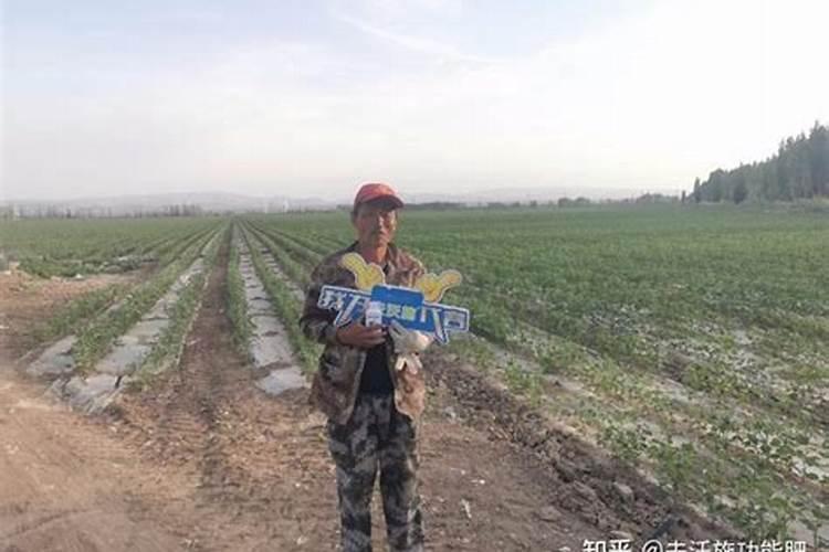 控旺剂能和芸苔素一起使用吗