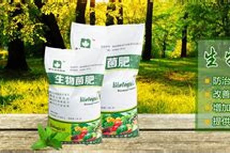 引起柑橘黄化症的病因有哪些？