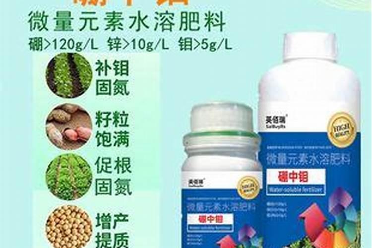 盆栽柚子如何施肥